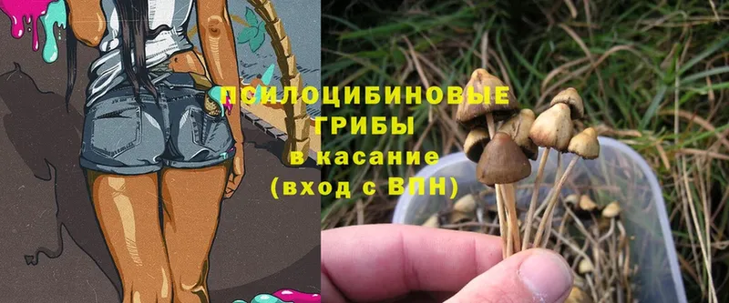 Псилоцибиновые грибы Magic Shrooms  Фёдоровский 